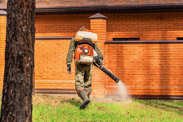 Trusted Bed Bug Control service in Zilwaukee, MI - Nex Pest Control